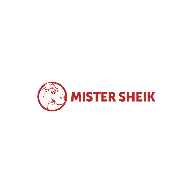 MISTER SHEIK