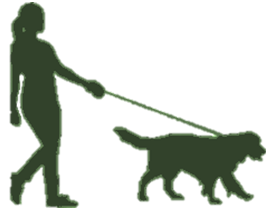 silhueta de uma pessoa passeando com um cachorro